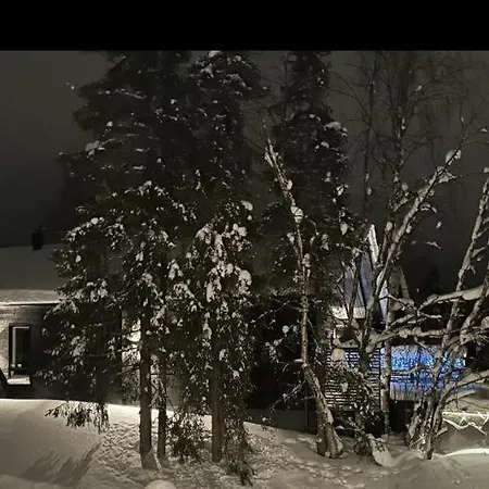 Lucky Live By Hilla Levi